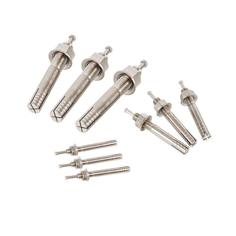 Aliquam Steel Percute ancoram